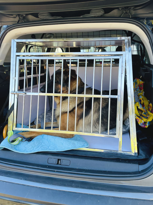 https://www.cagechien.fr/wp-content/uploads/2023/09/cage-transport-chien-pour-vehicule.jpg
